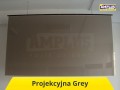 ekran projekcyjny
