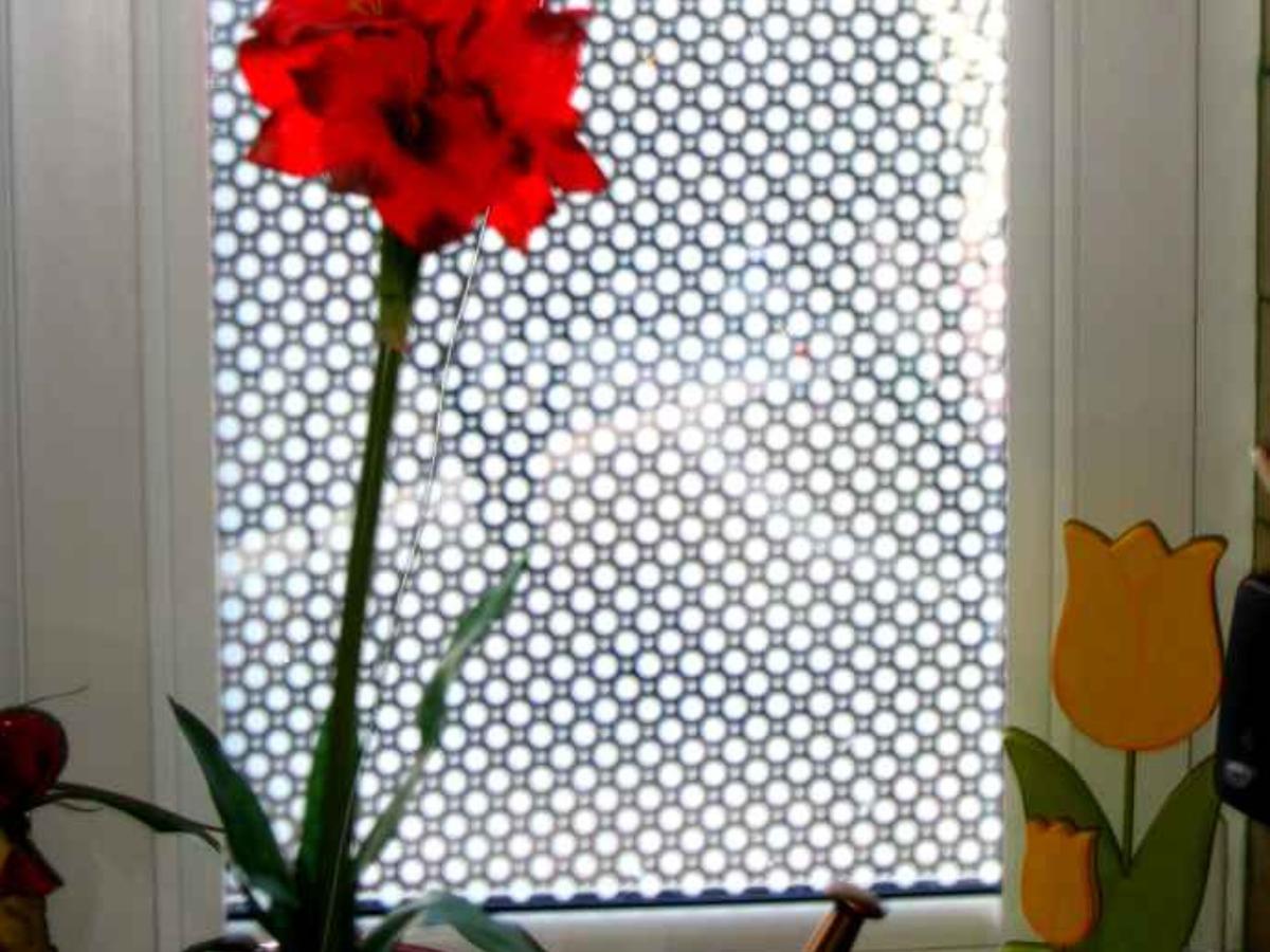 Dekoracyjna folia okienna w kropki na szybie jako nowoczesna alternatywa dla firanek
